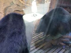 -哈尔滨波塞冬海底世界