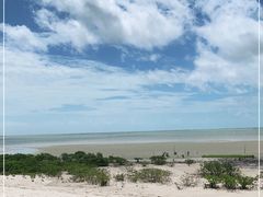 -北海金海湾红树林生态旅游区