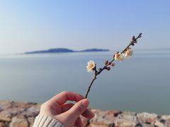 -苏州太湖国家湿地公园