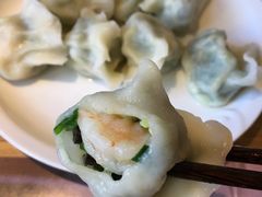 韭菜虾仁鸡蛋-新兴园饺子馆(北京百子湾店)