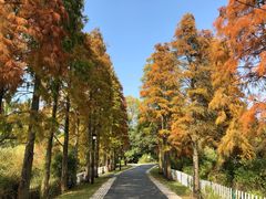-鄱阳湖国家湿地公园