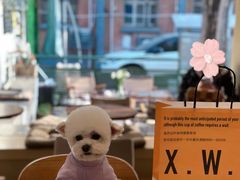-稀物集咖啡(徽州大道店)