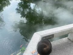 -杭州西湖柳莺里酒店·闻莺厅