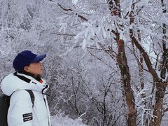 -秦岭风景区
