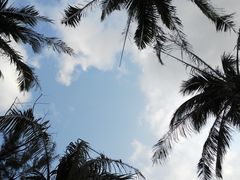 -白沙湾海滩
