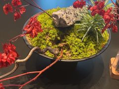 -炊江南·上海菜(国展华漕店)