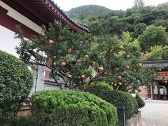 -西安华清御汤酒店