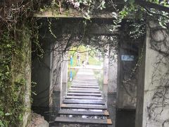 -燕晗山郊野公园