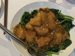 日本豆腐-食为先(Shark Fin)