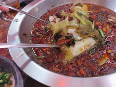 -耗儿鱼蛙蛙叫·老成都火锅(蛇口海昌街店)