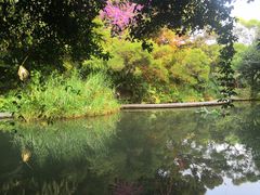 -燕晗山郊野公园