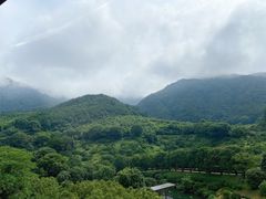 -羡餐厅·杭帮菜·淳菜(千岛湖自由洲际殿店)