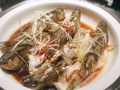 清蒸鲈鱼-长沙世纪金源大饭店·金世纪中餐厅