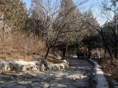 -阳台山自然风景区