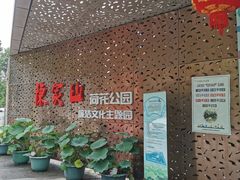 -陈家山荷花公园