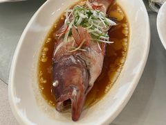广式海南东星斑-台州开元大酒店·骑士中餐厅