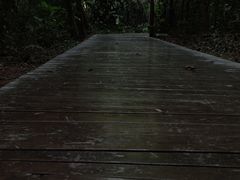 -大屏嶂森林公园