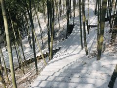 -江南天池