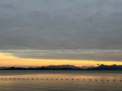 -深圳湾公园(南山区)