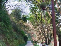 -重庆彩云湖湿地公园