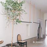 春暖花开啦！ 马上可以出游啦！ 大连清零啦！