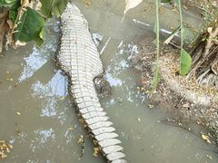 -清迈夜间动物园