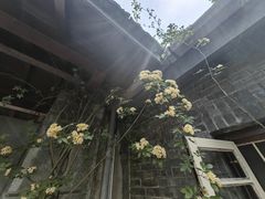 -民国红公馆·艺文空间(颐和路店)