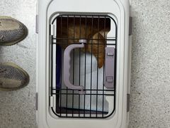 -谐和贝康宠物医院24小时·宠保定点(急重症转诊中心)