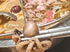 -一绪に寿喜烧(虹悦城店)