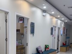 -美联众合动物医院·24h京西诊疗中心