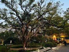 -三台山庄中餐厅