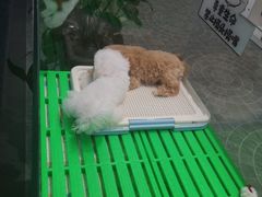 -百荣世贸商城