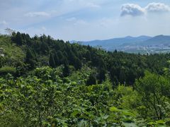 -白佛山景区