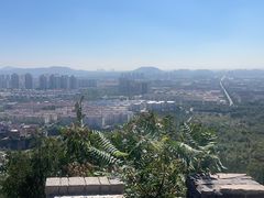 -府君山公园