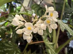 -丽都DELICATESSEN熟食店