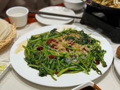 双椒煎茼蒿-郑州烤鸭总店
