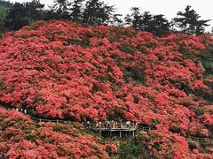 -木兰云雾山