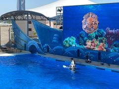 -上海海昌海洋公园