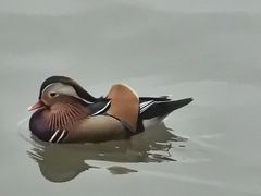 -杭州湖滨in77
