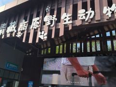 -青藏高原野生动物园
