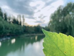 -大兴滨河森林公园