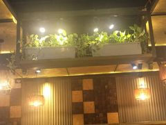 -柿子树炭烤羊腿(金台路店)