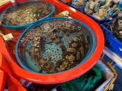 -芦潮港集贸市场