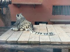 -青藏高原野生动物园