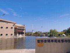 -天津古林古海岸遗迹博物馆