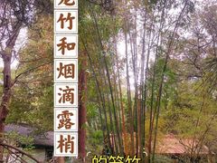 -成都杜甫草堂博物馆