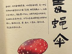 -滇野云南野生菌餐厅(陕西南路店)