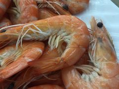 -红月湾海鲜饭店•沙滩海景(双月湾店)