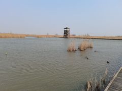 -盐城丹顶鹤湿地生态旅游区