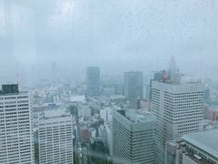 -东京都厅舍